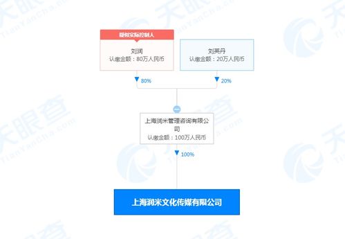 润米咨询战略布局新篇章 设立文化传媒公司，注册资本100万，深化社会经济咨询服务生态